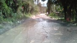 Jalan Menuju Dermaga Peti Kemas Jayapura Mangkrak, Bupati Kritik Pemprov