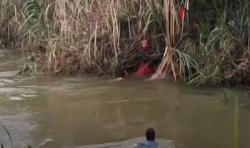 Video Jasad Warga Pasaman Barat Sumbar Berhasil Ditemukan usai Diseret Buaya saat Ambil Air Wudu