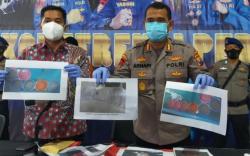 Polda Jatim Gagalkan Penjualan 3.149 Benih Lobster Ilegal, 2 Pelaku Ditangkap