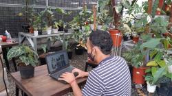 Penjualan Tanaman Hias secara Online Meningkat Drastis, Omzet Ratusan Juta<