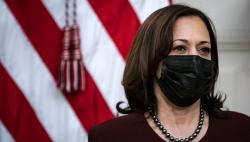 Jadi Wapres AS, Ini Tugas Kamala Harris