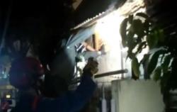 Video Petugas Evakuasi Sarang Tawon Vespa Affinis di Rumah Warga yang Berefek Sengat Mematikan