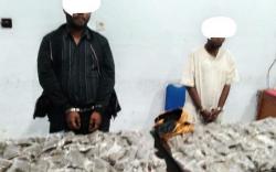 BNN Papua Tangkap Dua Pengedar dengan 200 Paket Ganja Siap Edar di Jayapura