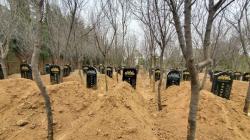 Mahasiswa Asal Probolinggo Jadi Korban Tabrak Lari di China, Pelaku Beri Santunan Rp1,8 Miliar