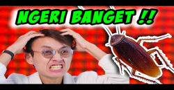 Koharo Coba Melihat Kecoa dengan Metode Zoom, Seperti Apa?