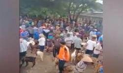 Video Viral Pasar Hewan di Gunungkidul Abaikan Protokol Kesehatan