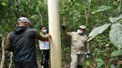 Gubernur Babel Sosialiasi Rekayasa Okulasi ke Petani Gaharu
