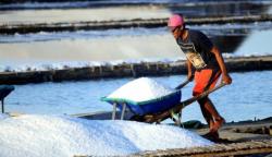 Cuaca Buruk, Target Produksi Garam Nasional 3,1 Juta Ton Sulit Tercapai 