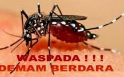 Jawa Barat Peringkat Pertama Jumlah Kasus DBD pada 2021 di Indonesia