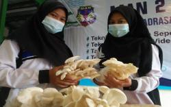 Berkat Jamur Tiram, Tim MAN 2 Majalengka Juara 1 Ajang Inovasi Teknologi AMD 2020