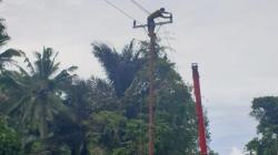 PLN Mulai Perbaiki Infrastruktur Listrik di NTB yang Rusak akibat Cuaca Ekstrem