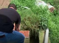 Video Viral Peternak Buang Telur di Magetan Akibat Harga Terus Merosot