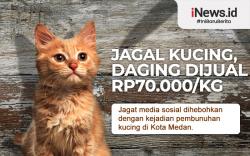 Infografis Viral Jagal Kucing di Medan untuk Dimakan, Harga Daging Dijual Rp70.000 per Kg