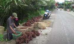 Video Pasca Erupsi, Aktivitas Warga Lereng Merapi Berlangsung Normal