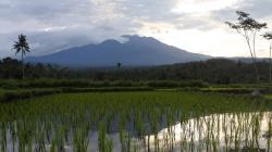 Suara Gemuruh Gunung Raung Terdengar Warga Jember
