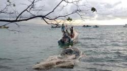 Bangkai Paus Ditemukan di Perairan Pantai Liang Bunaken<