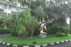 Video Puluhan Hotel di Bali Bangkrut, Sandiaga Uno Turun Tangan
