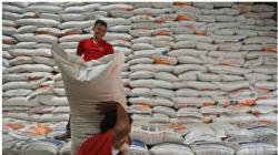 Bulog Lampung Lampaui Target, Penyerapan Beras dari Petani Sampai 65.000 Ton<