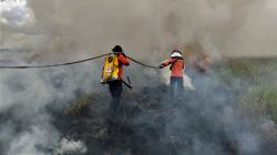 Titik Panas di Kalbar Meningkat, BMKG Ingatkan Potensi Karhutla hingga 20 Februari<