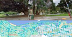 Google Uji UI Split Screen untuk Street View di Android