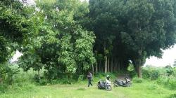 Bak Film Thriller, Remaja Cantik Ini Lompat dari Motor dan Lawan Pria yang Akan Memerkosanya