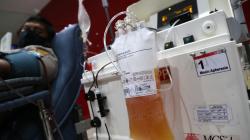 Arek Suroboyo Wani Donor, Stok Plasma Konvalesen Surabaya Tertinggi di Indonesia