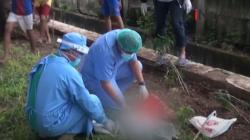 Video Jenazah Bayi Ditemukan Terbungkus Plastik di Pademangan Timur Jakarta