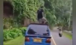Video Viral Remaja Kota Ternate Berjoget di Atap Angkot, Pelaku Ditangkap Polisi