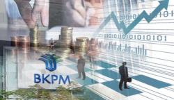 Pemerintah Targetkan Investasi Langsung Rp4.983,2 Triliun hingga 2024 <