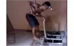 Aksi Heroik Pecinta Reptil Evakuasi Ular Sanca Dalam Sumur Rumah Warga