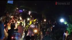 Video Pohon Tua Ukuran Besar Tumbang di Sikka NTT, Jalan Trans Flores Lumpuh