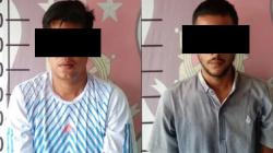 Asyik Nyabu di Kebun Kelapa Sawit, Nakes RSUD Paluta Ditangkap Polisi<