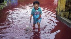 Warga Pekalongan Gempar, Air Banjir Berwarna Merah 