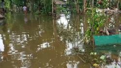 Tanggul Sungai Apoor Jebol, Banjir Rendam 90 Rumah dan Sawah di Pangandaran