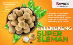 Infografis UGM Kembangkan Kelengkeng Super Sleman, Dagingnya Tebal dan Bijinya Kecil