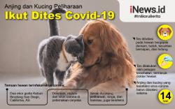 Anjing dan Kucing Pun Bakal Dites Covid