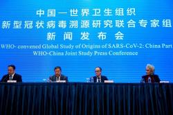 Tim Investigasi WHO di Wuhan Sebut Covid Bisa Menular Lewat Rantai Dingin, Apa Itu?