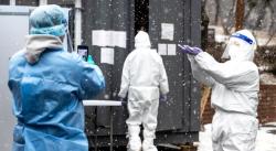 Bukan hanya Manusia, Anjing dan Kucing Peliharaan Bakal Dites Covid-19