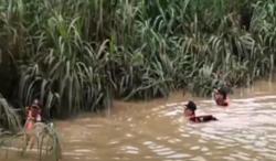 Video Pria Tewas Terseret Banjir di Gunungkidul usai Cari Belalang<