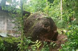 Batu Berdiameter 3 Meter di Prambanan Longsor Timpa Rumah Warga