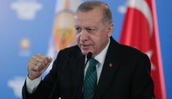 Survei Terbaru Pilpres Turki: Erdogan Menang Satu Putaran!