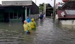 Video Banjir Kaligawe Semarang Belum Surut, Warga Keluhkan Rumah Rusak