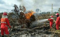 Lahan Gambut di Muba Terbakar, Petugas dalami Dugaan Kesengajaan <