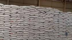 Berpihak ke Petani, Wamentan Kurang Setuju Impor Beras 1 Juta Ton