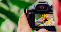 4 Cara Mengubah Foto ke PDF Online dan Offline