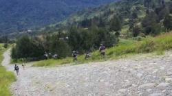 TNI-Polri Lumpuhkan 3 Anggota KKB yang Coba Rampas Senjata Aparat di Intan Jaya