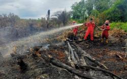 Kebakaran Meluas, Riau Tetapkan Status Siaga Darurat Karhutla