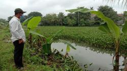 Terpilih Jadi Ketua PAN, Wabup Purwakarta Siapkan Surat Mundur dari Demokrat