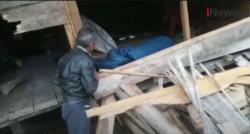 Video Kawanan Gajah Mengamuk, Rusak 5 Pondok Milik Warga di OKU Selatan<