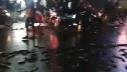 Truk Bermuatan Lele Terguling di Serpong, Warga Ramai-Ramai Menyerbu